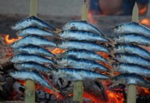 Sardinen