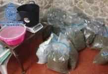 Kriminelles Netzwerk polnischer Herkunft für Drogen- und Waffenhandel in Alicante hochgenommen