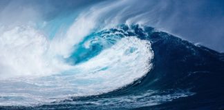Tsunami Madrid