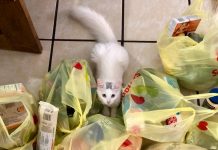 Nun ist die Katze aus dem Sack - Galicien will Geldstrafen bis zu 3.000 Euro gegen jeden der sich nicht gegen Covid impfen lässt oder sich weigert einen PCR-Test abzulegen