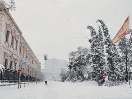 Madrid fordert die Regierung auf eine Katastrophenzone zu erklären und schätzt die Auswirkungen des Sturms Filomena auf 1.400 Millionen Euro