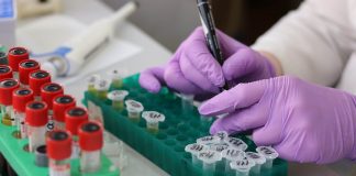 Spanien genehmigt die weltweit erste öffentliche Immuntherapie gegen Leukämie