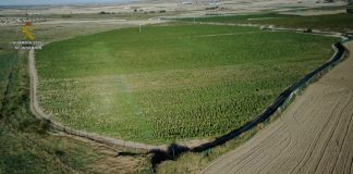 Guardia Civil findet in Toledo die größte Marihuana-Plantage Europas