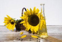 Sonnenblumenöl Spanien