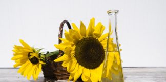 Sonnenblumenöl Spanien