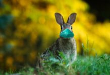 Maskenpflicht Ostern Spanien