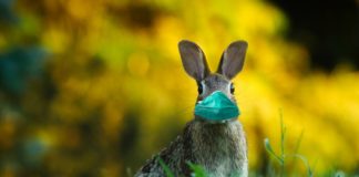 Maskenpflicht Ostern Spanien