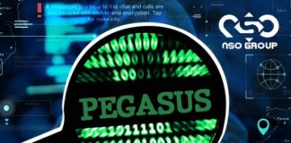Pegasus