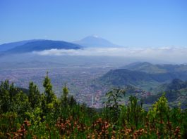 Teide Teneriffa