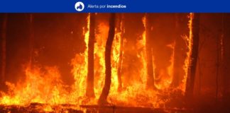 Feuer Teneriffa