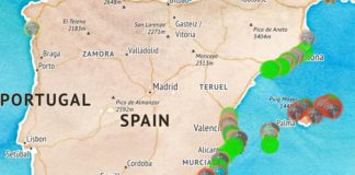MedusApp: Welche Quallen gibt es an meinem spanischen Strand?