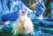 Covid Impfstoff Tiere Spanien