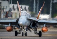 Spanische F18 NATO