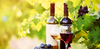 Bester Wein Spanien