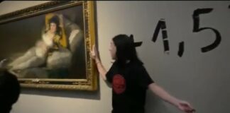 Prado Museum Madrid Klimaaktivisten