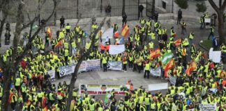 Der unbefristete Streik der Spediteure beginnt: Hunderte Trucker demonstrieren in Madrid