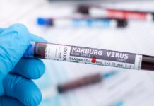 Marburg Virus Spanien