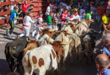 Stierlauf Spanien