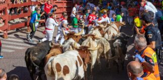 Stierlauf Spanien