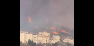 Feuer Spanien Valencia