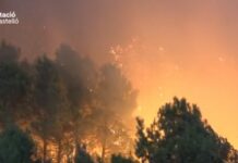 Feuer Valencia Castellon