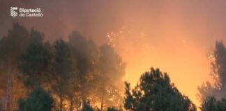 Feuer Valencia Castellon