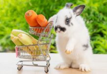 Supermarkt Ostern Spanien