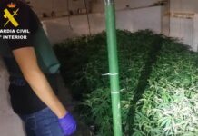 Marihuana Altea Spanien