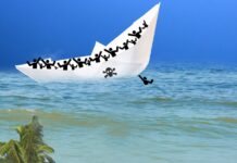 Gran Canaria Migranten Boot