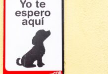 Hund Supermarkt Spanien