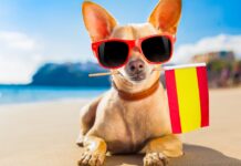 AEMET kündigt den heißesten Sommer in Spanien seit 1993 an