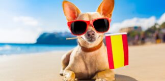 AEMET kündigt den heißesten Sommer in Spanien seit 1993 an