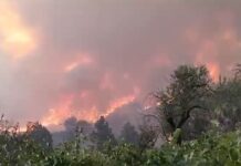 Feuer La Palma