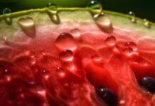 Lebensmittelwarnung Spanien Wassermelonen