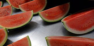 Melonen Spanien