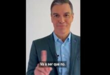 Verzweiflung Sanchez TikTok Video