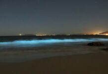 Biolumineszenzeffekt Spanien Strand