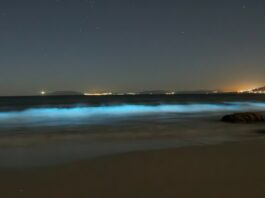 Biolumineszenzeffekt Spanien Strand