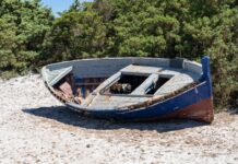 Boot Kanaren Immigration