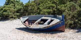 Boot Kanaren Immigration