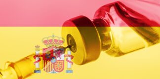 Covid Impsftoff Patent Spanien WHO
