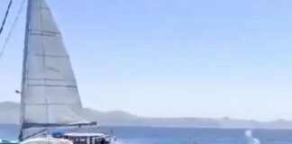 Orcas Segelboot Spanien