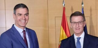 Sanchez Feijoo