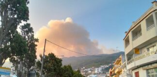 Teneriffa Feuer