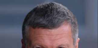 Wladimir Solowjow Kreml Propagandist