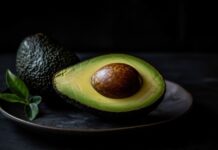 Avocado Spanien