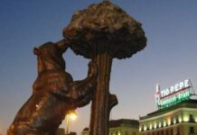 Erdbeerbaum Puerta de Sol Madrid