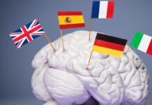 Gehirn Spanien Schule