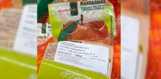 Mercadona Orangen Valencia