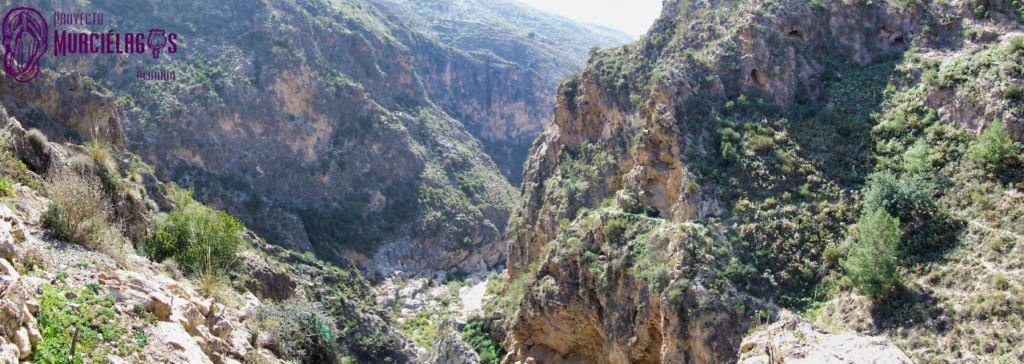 6.000 Jahre alte Schuhe in Andalusischer Höhle gefunden 1 Mutermur